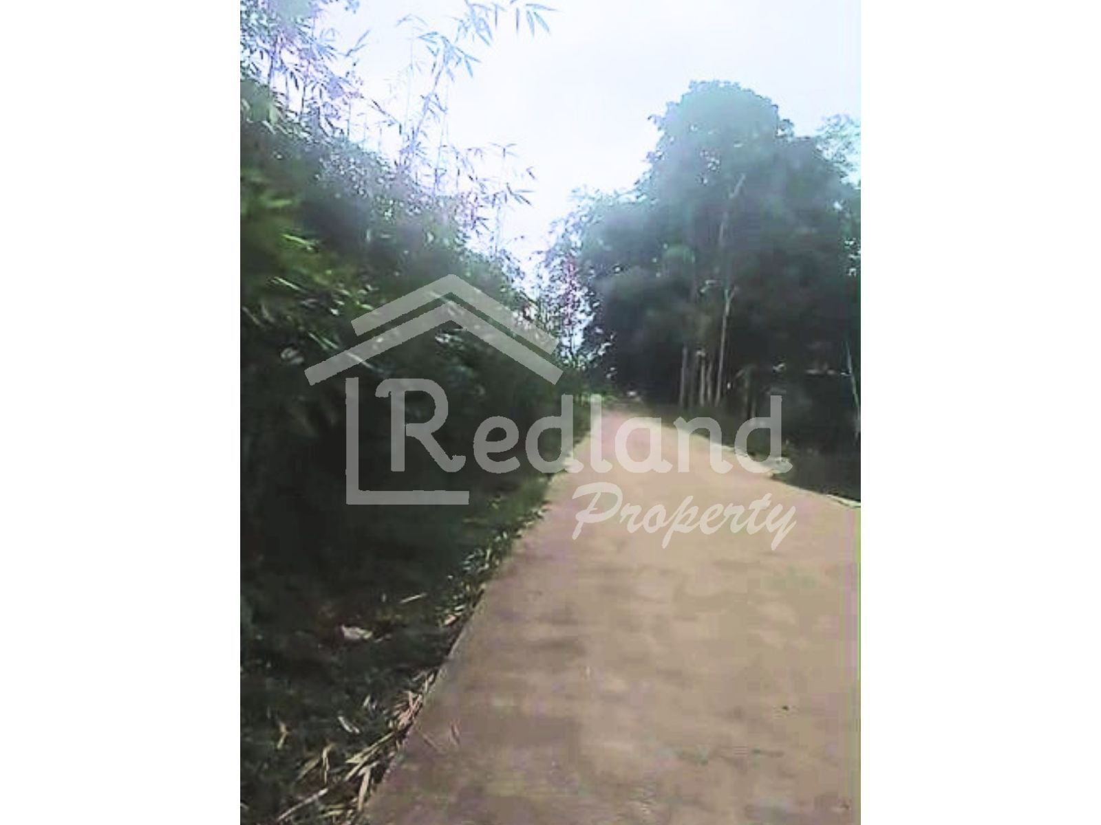 Slide show